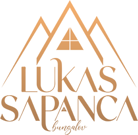 Lukas Sapanca